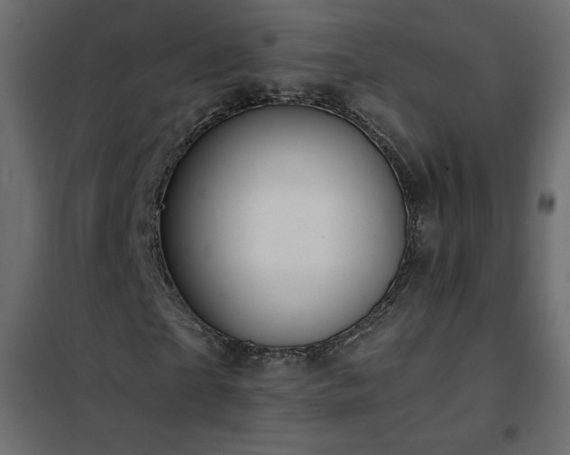 X0000102540865200808081519