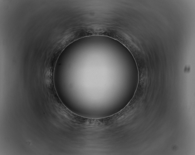 X0000102540866200808081519