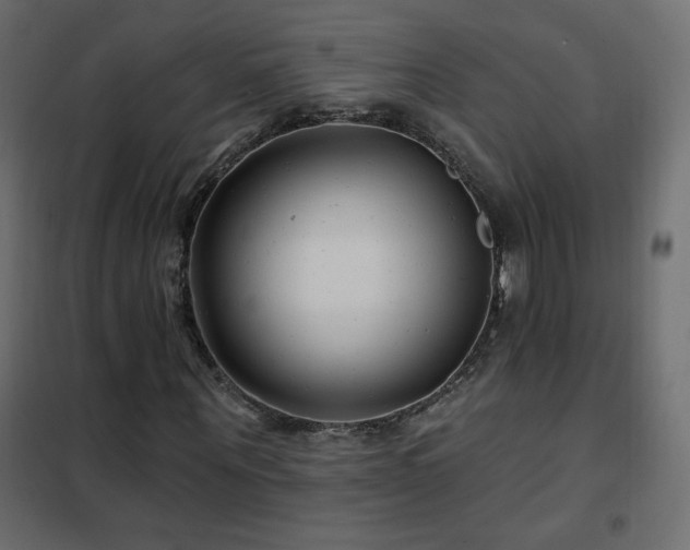 X0000102540867200808081519