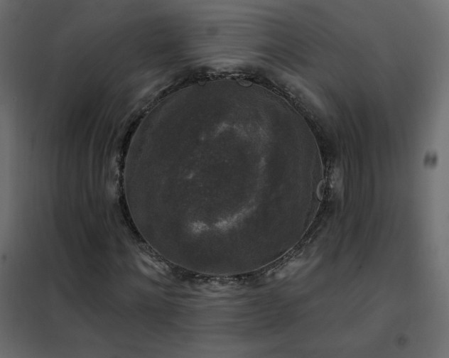 X0000102540868200808081519