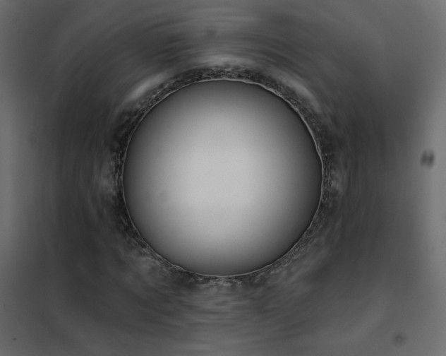 X0000102540869200808081519