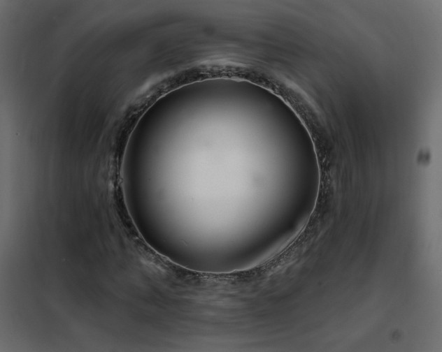 X0000102540870200808081519