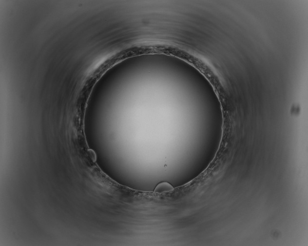 X0000102540871200808081519