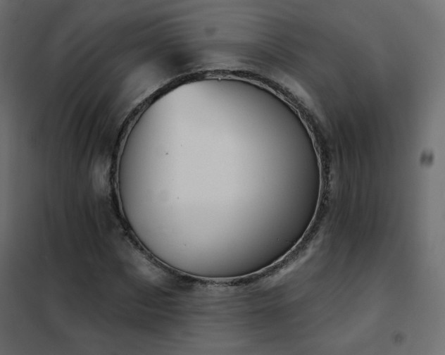 X0000102540873200808081519