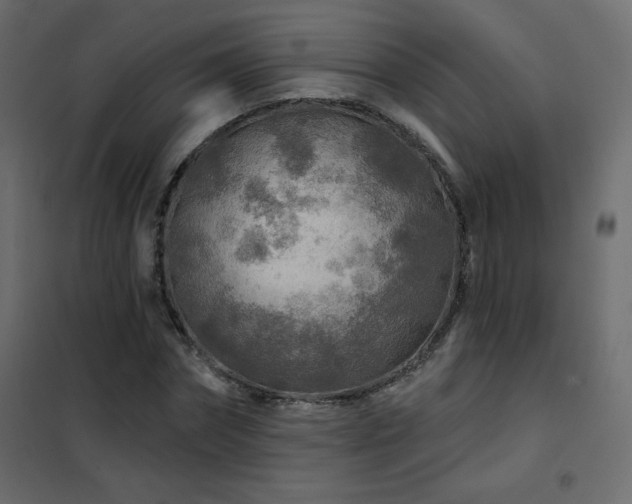 X0000102540874200808081519
