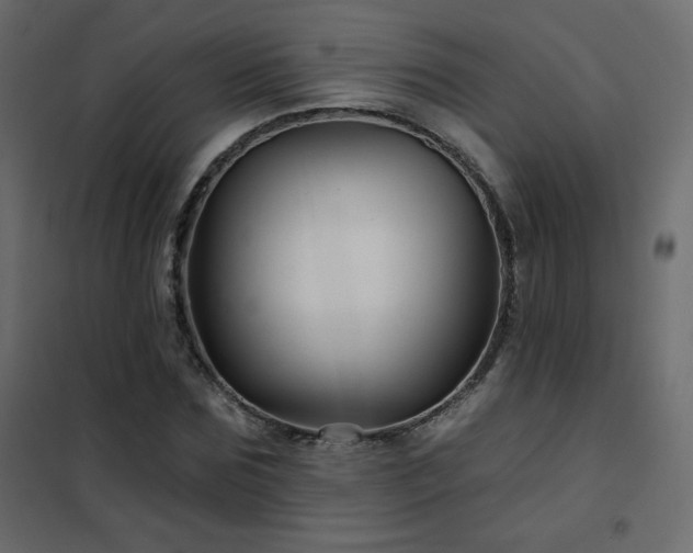 X0000102540875200808081519