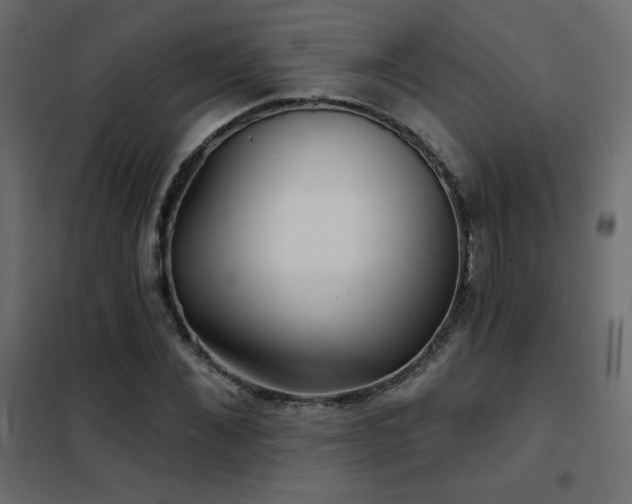 X0000102540876200808081519