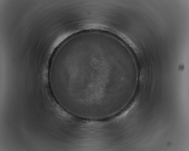 X0000102540877200808081519