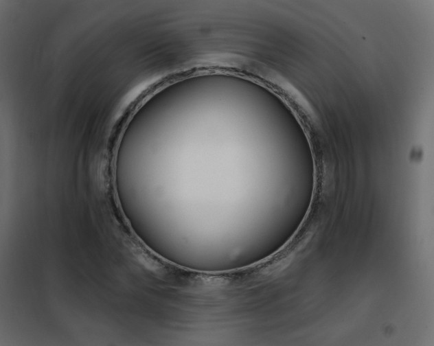 X0000102540878200808081519