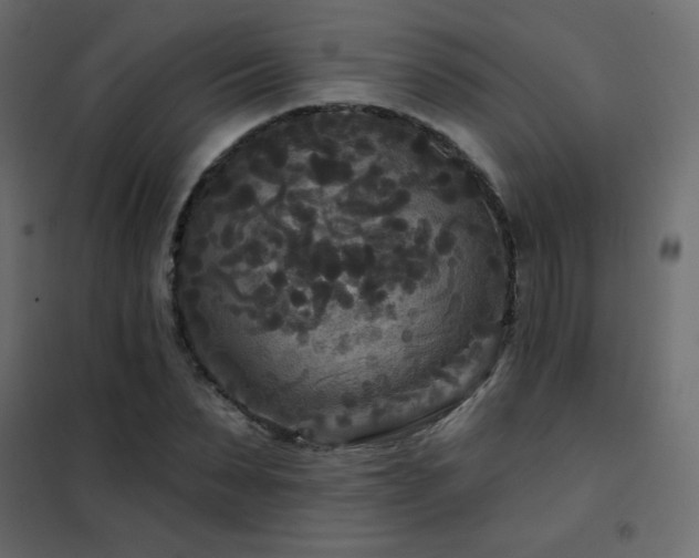 X0000102540879200808081519
