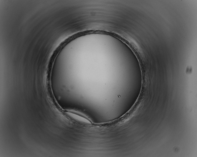 X0000102540880200808081519