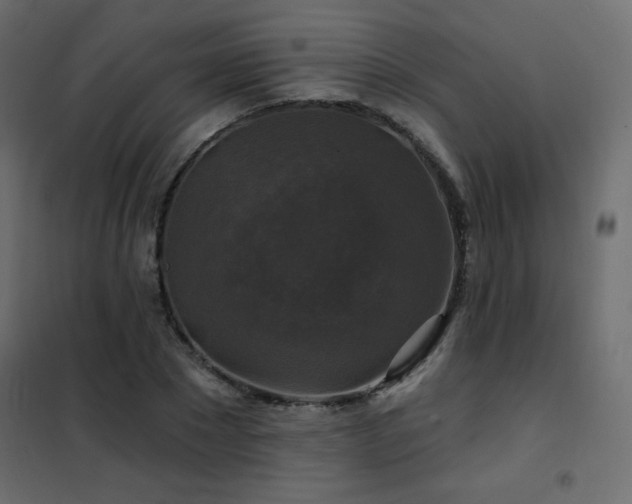 X0000102540881200808081519