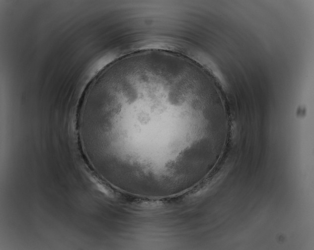 X0000102540882200808081519