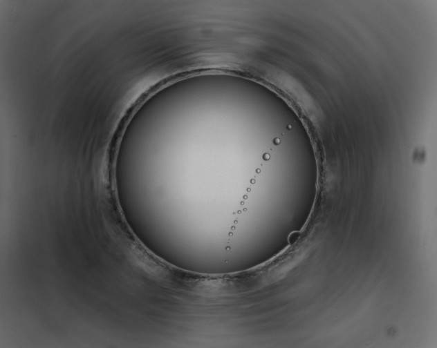 X0000102540883200808081519