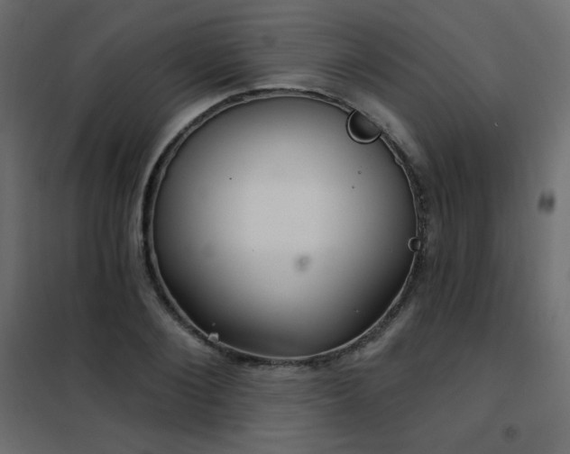 X0000102540884200808081519