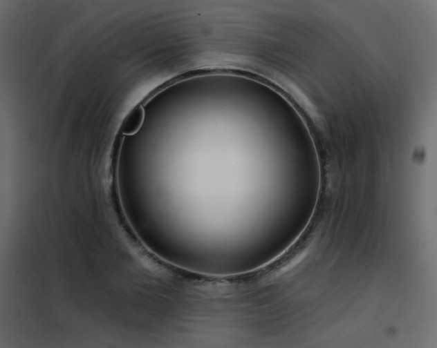 X0000102540885200808081519