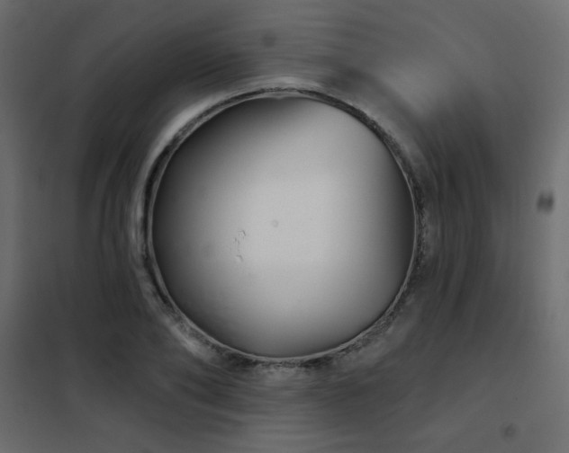X0000102540886200808081519