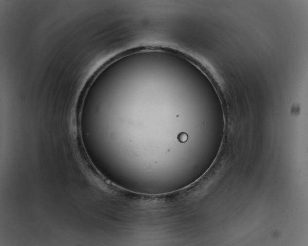 X0000102540887200808081519