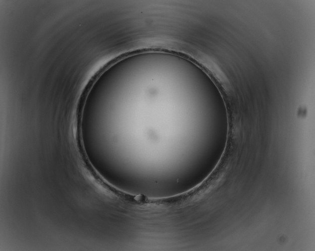 X0000102540888200808081519