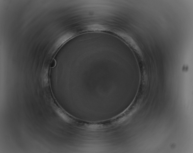 X0000102540889200808081519