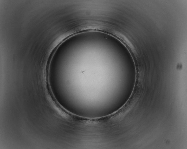 X0000102540890200808081519