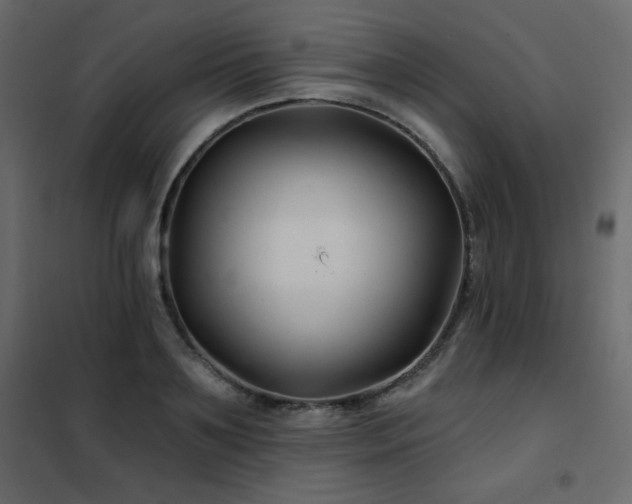 X0000102540891200808081519