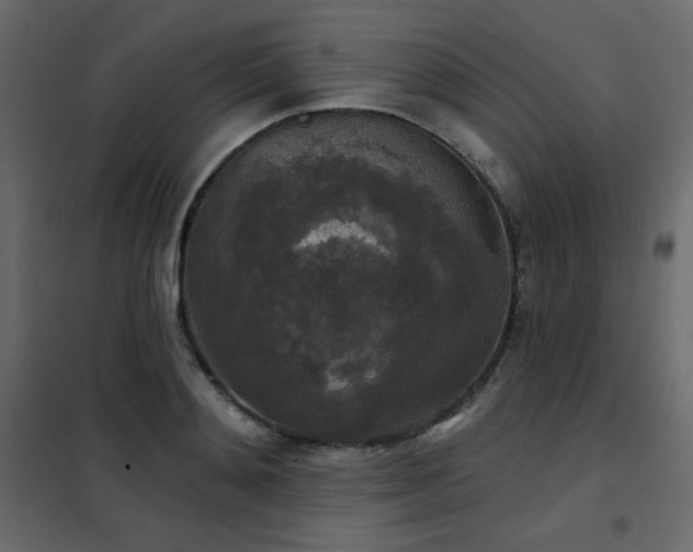 X0000102540892200808081519