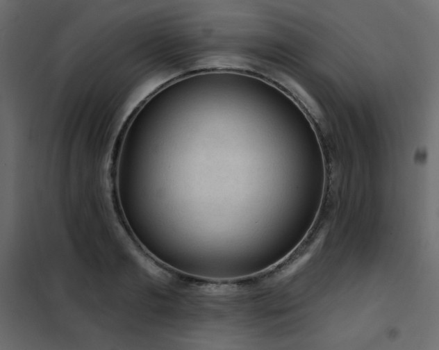 X0000102540893200808081518