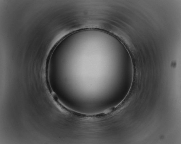 X0000102540894200808081518