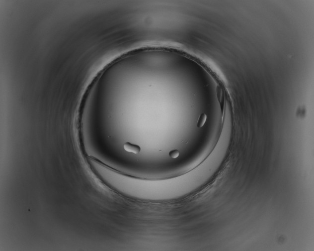X0000102540895200808081518