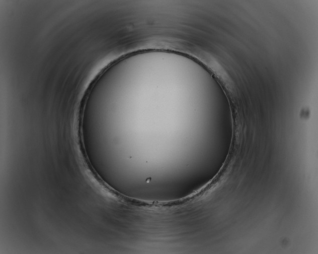 X0000102540896200808081518