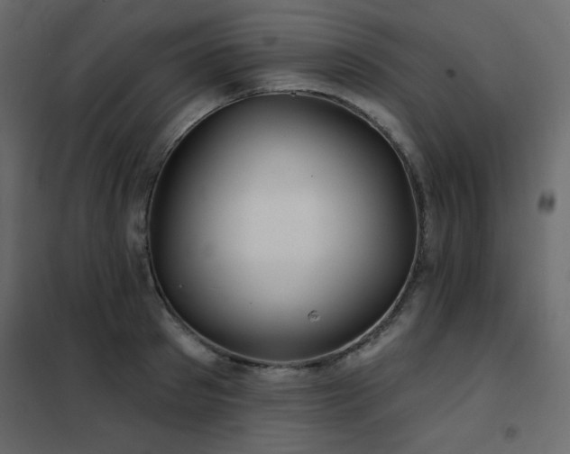X0000102540897200808081518