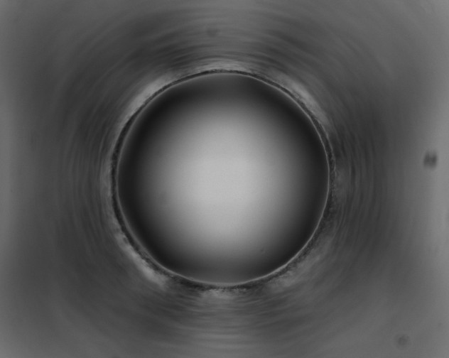 X0000102540898200808081518