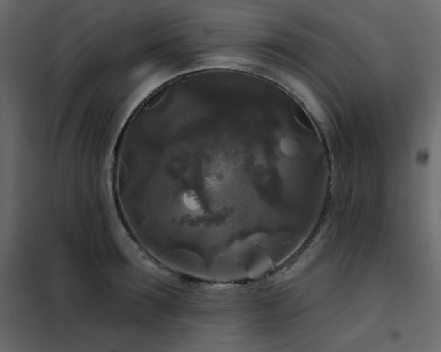X0000102540899200808081518