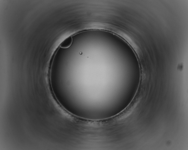 X0000102540901200808081518