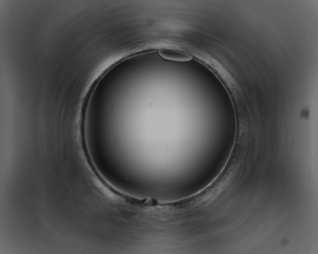 X0000102540902200808081518