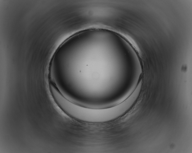 X0000102540903200808081518
