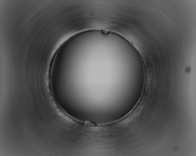 X0000102540904200808081518