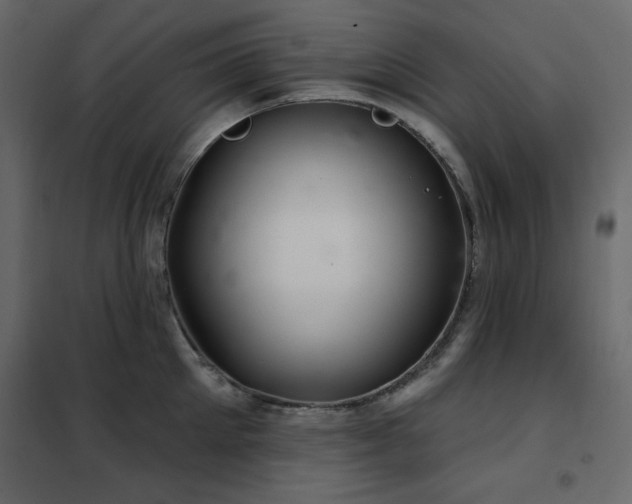 X0000102540905200808081518