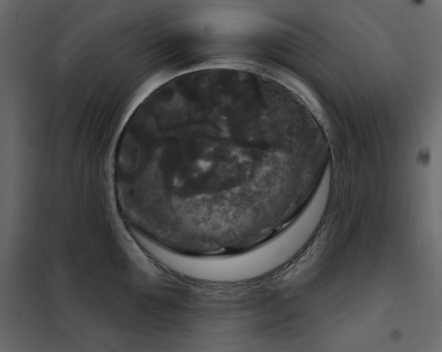 X0000102540907200808081518