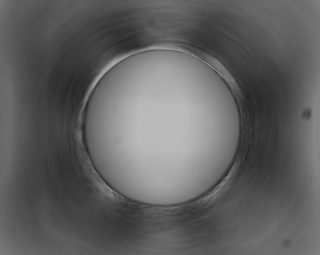 X0000102540908200808081518