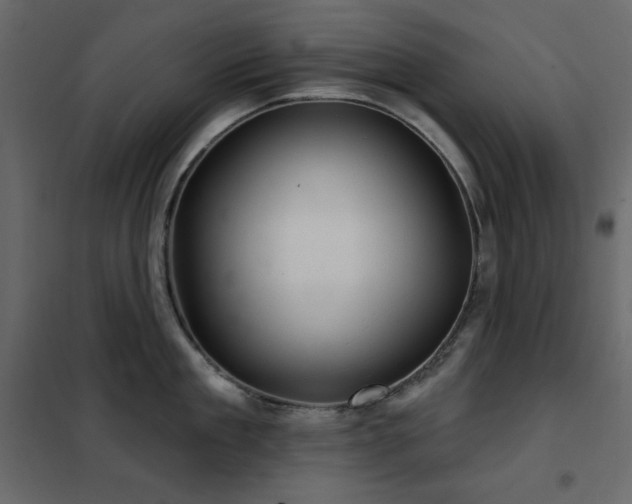 X0000102540909200808081518