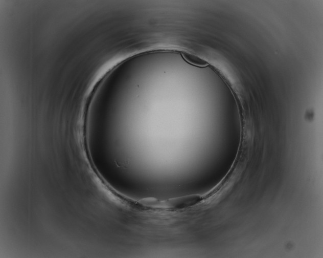 X0000102540910200808081518