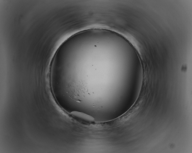 X0000102540911200808081518