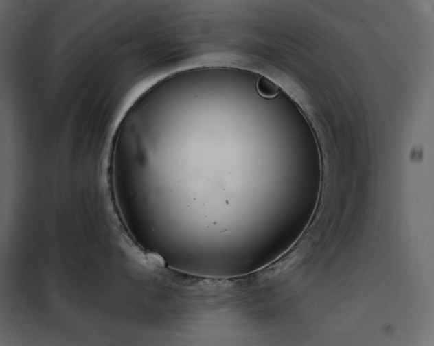 X0000102540912200808081518