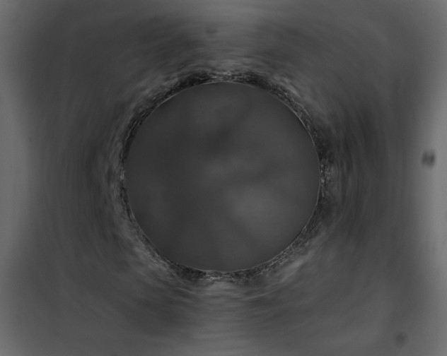 X0000102540913200808081518