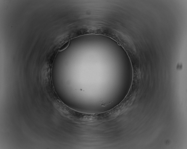 X0000102540914200808081518
