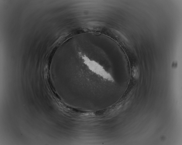 X0000102540915200808081518