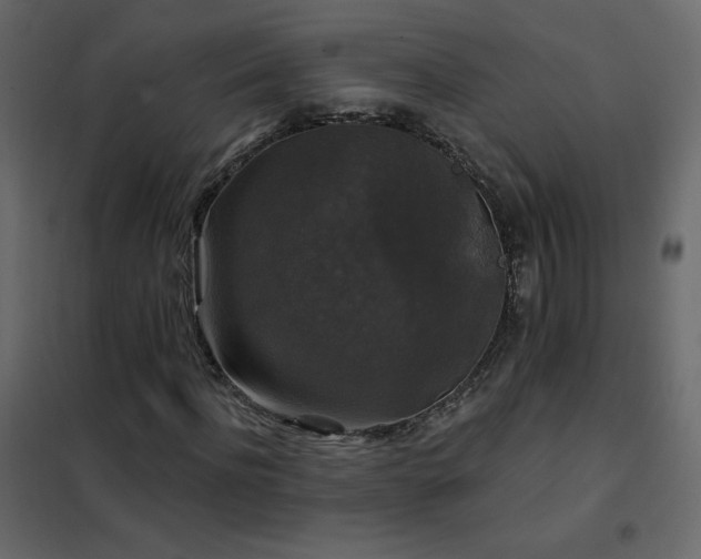 X0000102540916200808081518