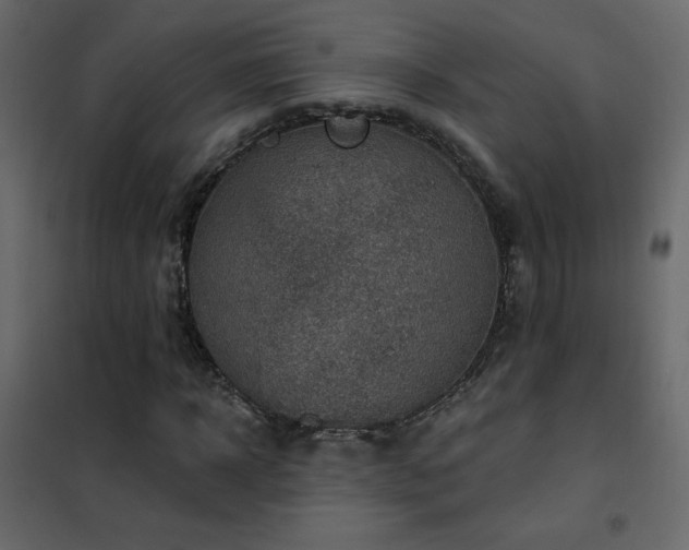 X0000102540918200808081518